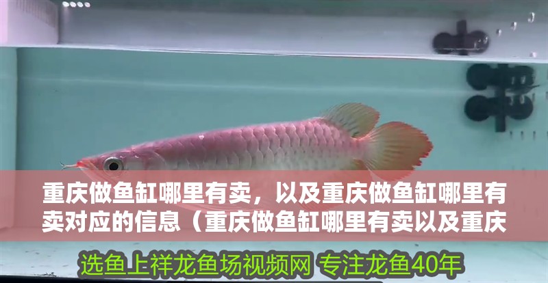 重慶做魚缸哪里有賣，以及重慶做魚缸哪里有賣對應的信息（重慶做魚缸哪里有賣以及重慶做魚缸哪里有賣對應的信息）