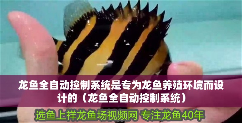 龍魚全自動控制系統是專為龍魚養殖環境而設計的（龍魚全自動控制系統）