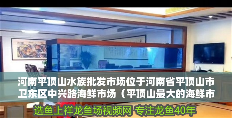 詳細閱讀:<strong><mark>河南</mark></strong>平頂山水族批發(fā)市場位于<strong><mark>河南</mark></strong>省平頂山市衛(wèi)東區(qū)中興路海鮮市場(平頂山最大的海鮮市場在哪里?) <strong><mark>河南</mark></strong>平頂山水族批發(fā)市場位于<strong><mark>河南</mark></strong>省平頂山市衛(wèi)東區(qū)中興路海鮮市場(平頂山最大的海鮮市場在哪里?)