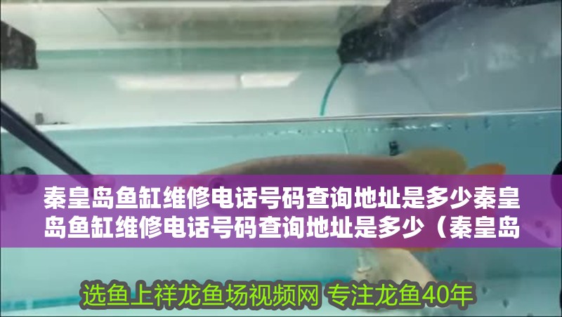 秦皇島魚缸維修電話號碼查詢地址是多少秦皇島魚缸維修電話號碼查詢地址是多少（秦皇島魚缸維修電話號碼查詢地址）