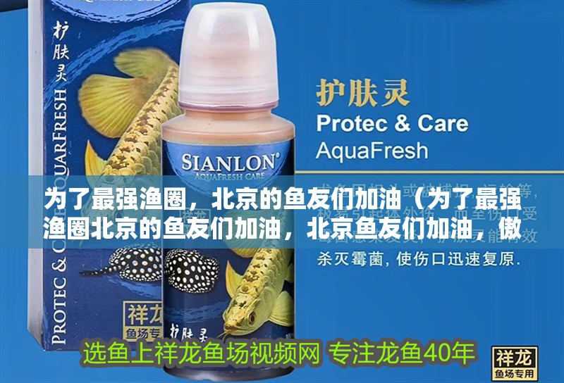 為了最強漁圈，北京的魚友們加油（為了最強漁圈北京的魚友們加油，北京魚友們加油，傲雪飛鴻評論）