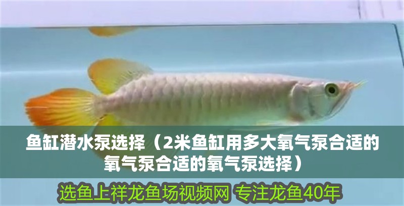 魚缸潛水泵選擇（2米魚缸用多大氧氣泵合適的氧氣泵合適的氧氣泵選擇）