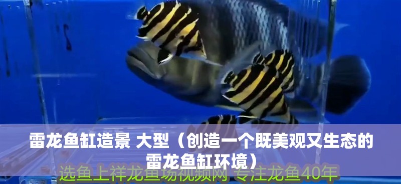 雷龍魚缸造景 大型（創造一個既美觀又生態的雷龍魚缸環境）