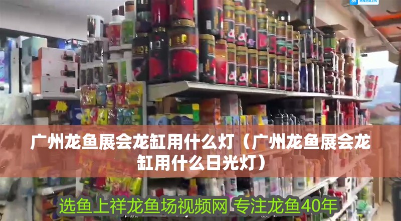 廣州龍魚(yú)展會(huì)龍缸用什么燈（廣州龍魚(yú)展會(huì)龍缸用什么日光燈）