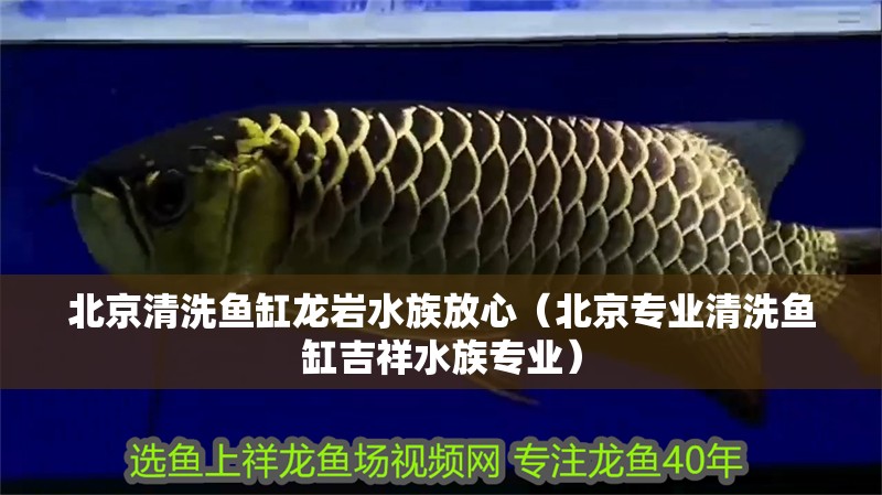 北京清洗魚缸龍巖水族放心（北京專業清洗魚缸吉祥水族專業）
