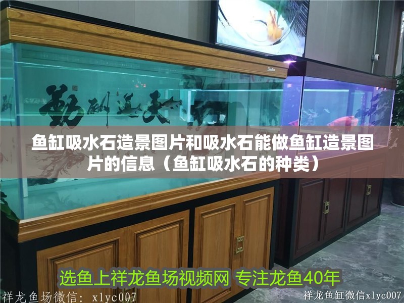 魚缸吸水石造景圖片和吸水石能做魚缸造景圖片的信息（魚缸吸水石的種類）