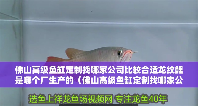 佛山高級(jí)魚缸定制找哪家公司比較合適龍紋鯉是哪個(gè)廠生產(chǎn)的（佛山高級(jí)魚缸定制找哪家公司合適）