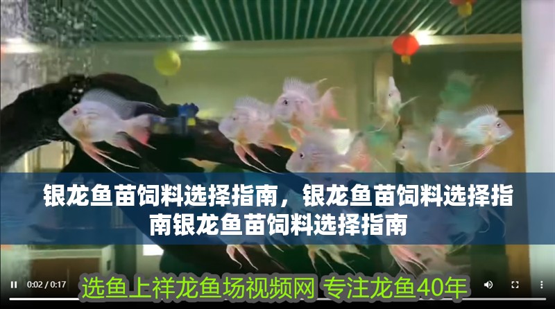 銀龍魚苗飼料選擇指南，銀龍魚苗飼料選擇指南銀龍魚苗飼料選擇指南