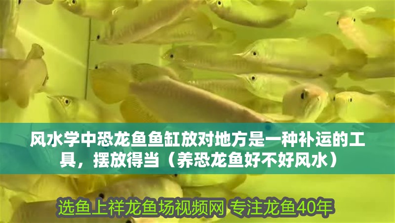 風(fēng)水學(xué)中恐龍魚魚缸放對(duì)地方是一種補(bǔ)運(yùn)的工具，擺放得當(dāng)（養(yǎng)恐龍魚好不好風(fēng)水）