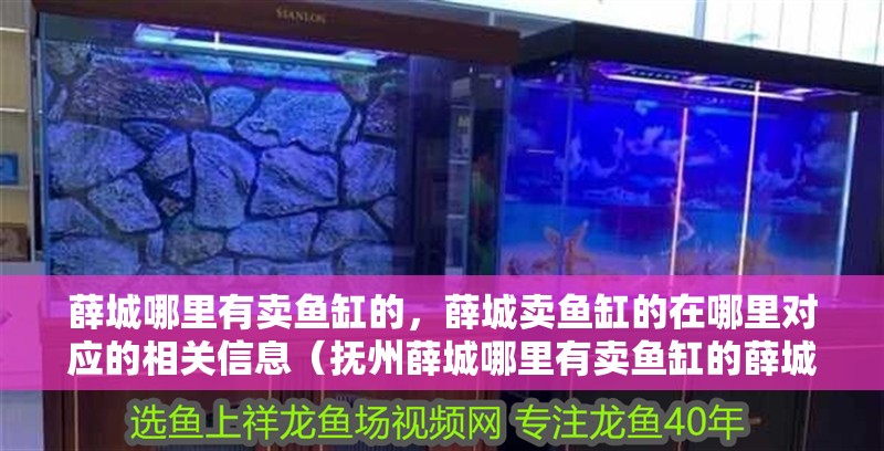 薛城哪里有賣魚缸的，薛城賣魚缸的在哪里對(duì)應(yīng)的相關(guān)信息（撫州薛城哪里有賣魚缸的薛城哪里有賣魚缸的，薛城哪里有賣魚缸的）