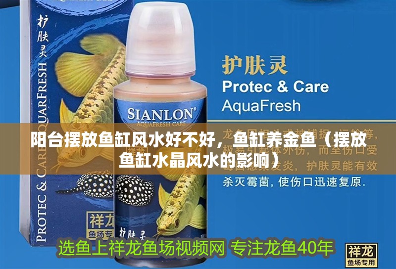 陽臺擺放魚缸風水好不好，魚缸養金魚（擺放魚缸水晶風水的影響）