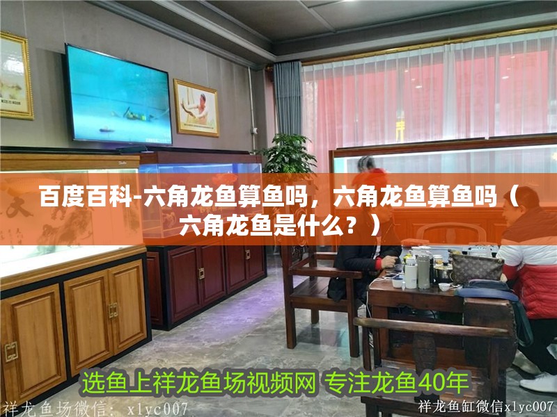 百度百科-六角龍魚算魚嗎，六角龍魚算魚嗎（六角龍魚是什么？）