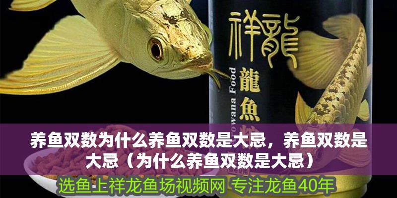養(yǎng)魚雙數(shù)為什么養(yǎng)魚雙數(shù)是大忌，養(yǎng)魚雙數(shù)是大忌（為什么養(yǎng)魚雙數(shù)是大忌）