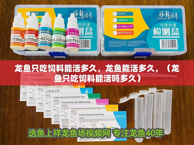龍魚只吃飼料能活多久，龍魚能活多久，（龍魚只吃飼料能活嗎多久）