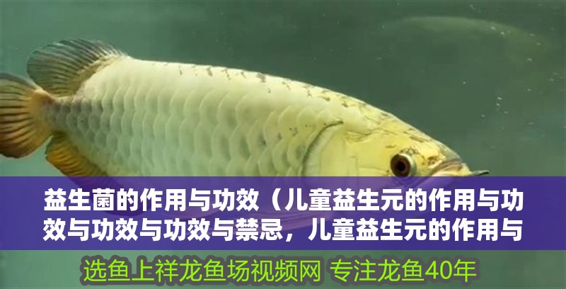 益生菌的作用與功效（兒童益生元的作用與功效與功效與功效與禁忌，兒童益生元的作用與功效）