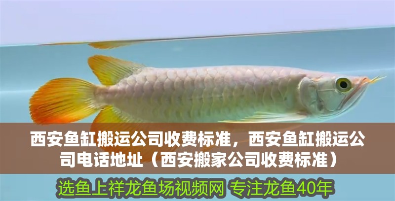 <strong><mark>西安</mark></strong>魚缸搬運公司收費標準，<strong><mark>西安</mark></strong>魚缸搬運公司電話地址（<strong><mark>西安</mark></strong>搬家公司收費標準）