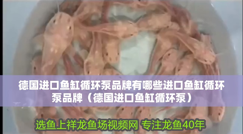 德國進口魚缸循環(huán)泵品牌有哪些進口魚缸循環(huán)泵品牌（德國進口魚缸循環(huán)泵）