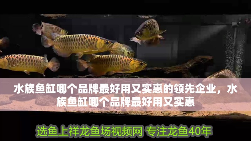 水族魚缸哪個品牌最好用又實惠的領先企業，水族魚缸哪個品牌最好用又實惠