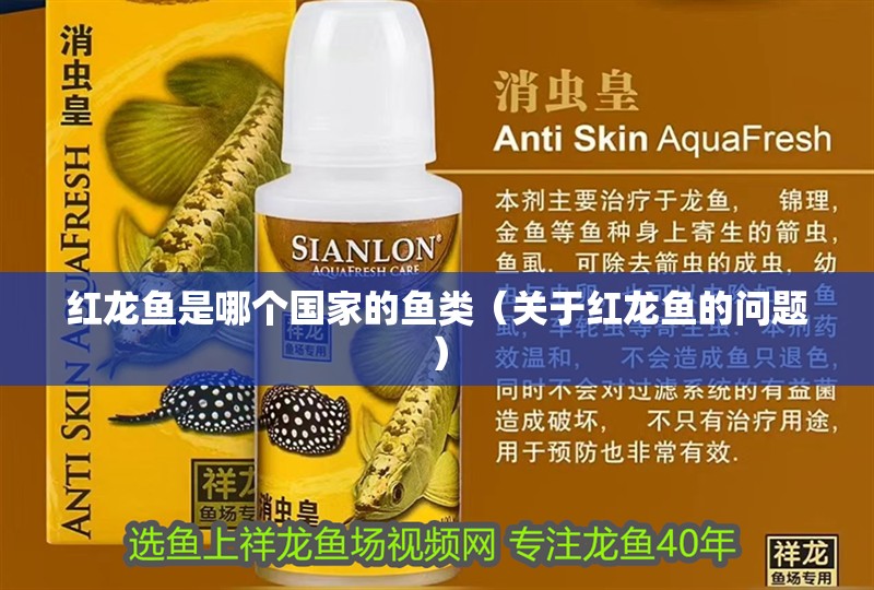 紅龍魚是哪個(gè)國(guó)家的魚類（關(guān)于紅龍魚的問題）