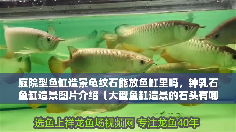 庭院型魚缸造景龜紋石能放魚缸里嗎，鐘乳石魚缸造景圖片介紹（大型魚缸造景的石頭有哪些？）