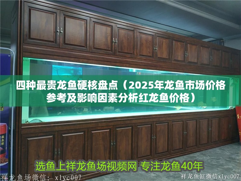 四種最貴龍魚(yú)硬核盤點(diǎn)（2025年龍魚(yú)市場(chǎng)價(jià)格參考及影響因素分析紅龍魚(yú)價(jià)格）