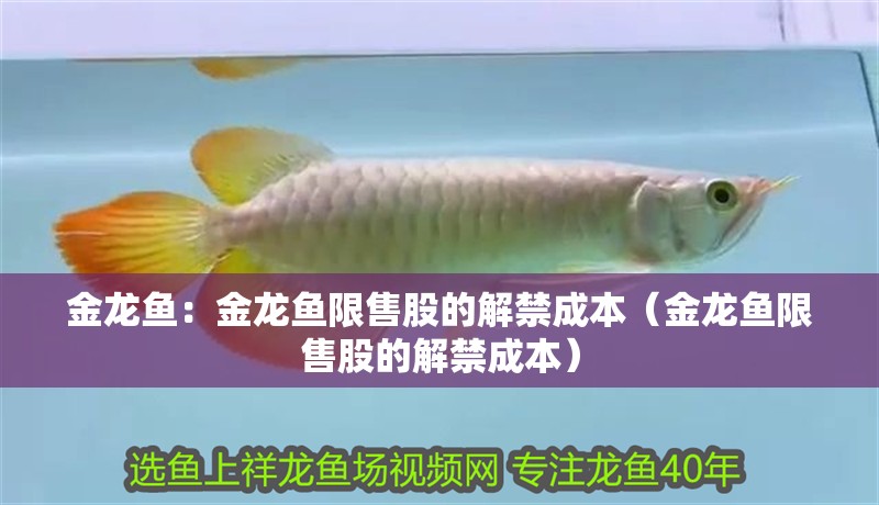 金龍魚：金龍魚限售股的解禁成本（金龍魚限售股的解禁成本）