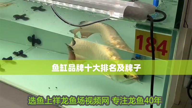 魚缸品牌十大排名及牌子