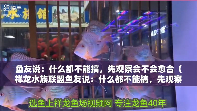 魚友說：什么都不能搞，先觀察會不會愈合（祥龍水族聯盟魚友說：什么都不能搞，先觀察會不會愈合）