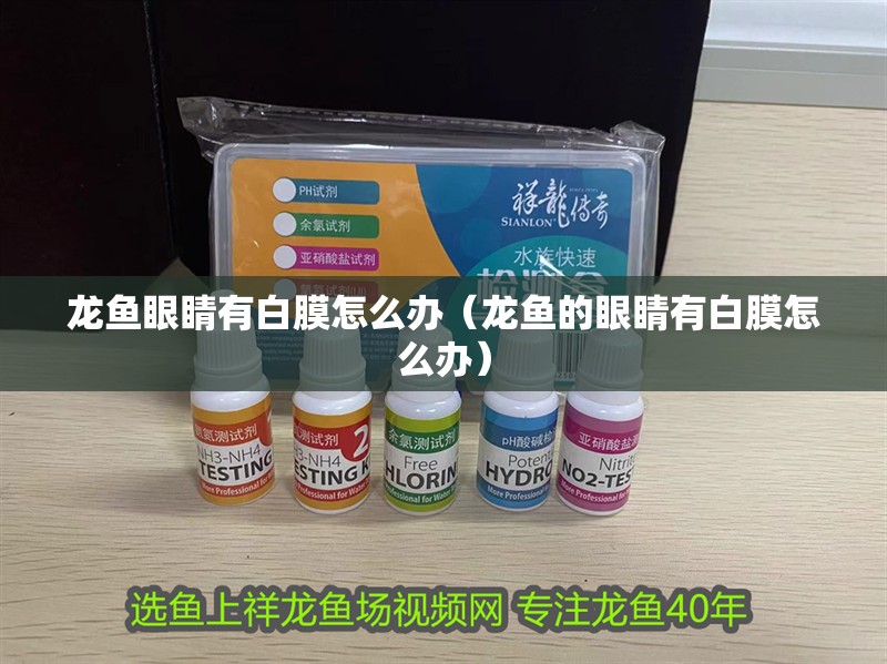 龍魚眼睛有白膜怎么辦（龍魚的眼睛有白膜怎么辦）