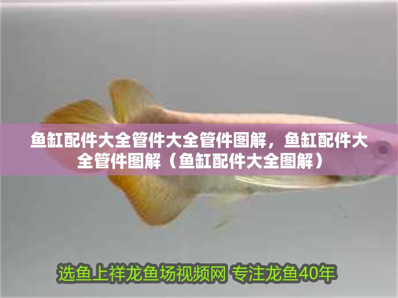 魚缸配件大全管件大全管件圖解，魚缸配件大全管件圖解（魚缸配件大全圖解）