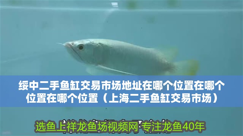 綏中二手魚(yú)缸交易市場(chǎng)地址在哪個(gè)位置在哪個(gè)位置在哪個(gè)位置（上海二手魚(yú)缸交易市場(chǎng)）