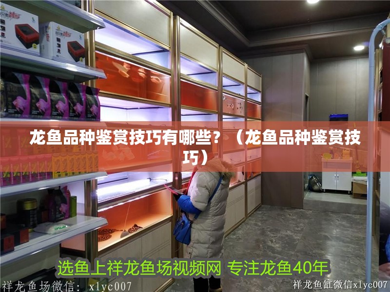 龍魚品種鑒賞技巧有哪些？（龍魚品種鑒賞技巧）