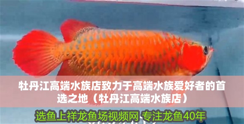 <strong><mark>牡丹江</mark></strong>高端水族店致力于高端水族愛(ài)好者的首選之地（<strong><mark>牡丹江</mark></strong>高端水族店）