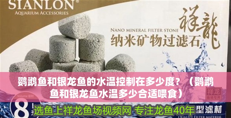 鸚鵡魚和銀龍魚的水溫控制在多少度？（鸚鵡魚和銀龍魚水溫多少合適喂食）