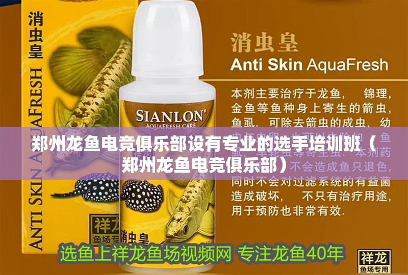 鄭州龍魚電競俱樂部設(shè)有專業(yè)的選手培訓(xùn)班（鄭州龍魚電競俱樂部）