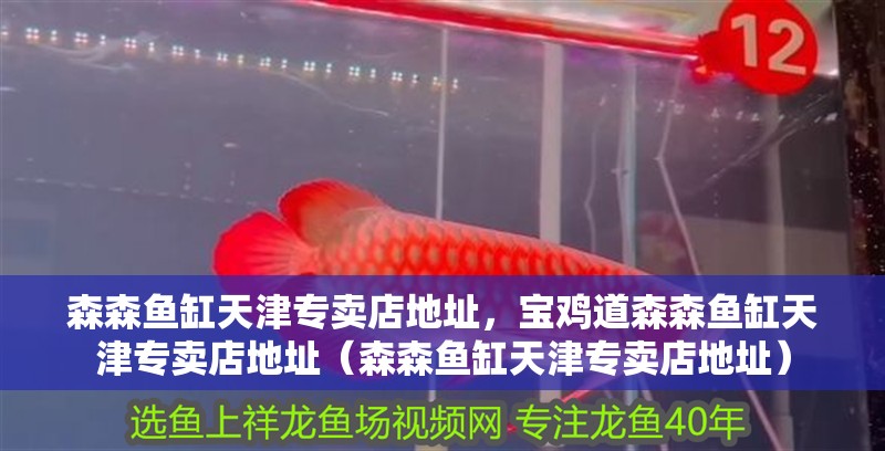 森森魚缸天津專賣店地址，寶雞道森森魚缸天津專賣店地址（森森魚缸天津專賣店地址）