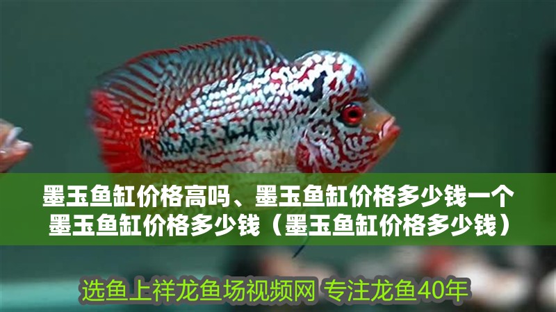 墨玉魚缸價格高嗎、墨玉魚缸價格多少錢一個墨玉魚缸價格多少錢（墨玉魚缸價格多少錢）