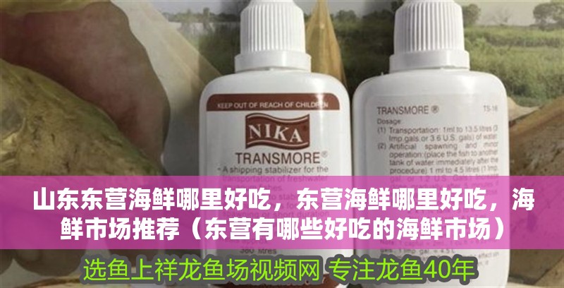 山東東營海鮮哪里好吃，東營海鮮哪里好吃，海鮮市場推薦（東營有哪些好吃的海鮮市場）