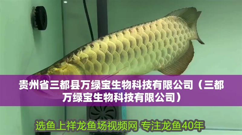 貴州省三都縣萬綠寶生物科技有限公司（三都萬綠寶生物科技有限公司）