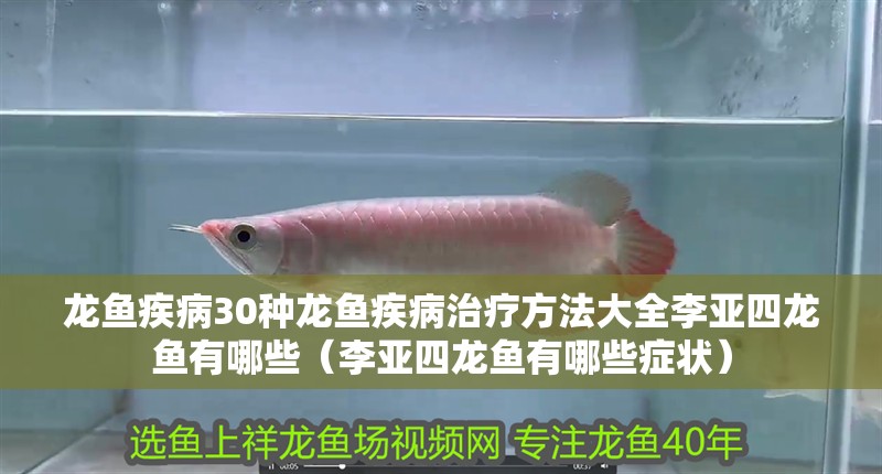 龍魚疾病30種龍魚疾病治療方法大全李亞四龍魚有哪些（李亞四龍魚有哪些癥狀）