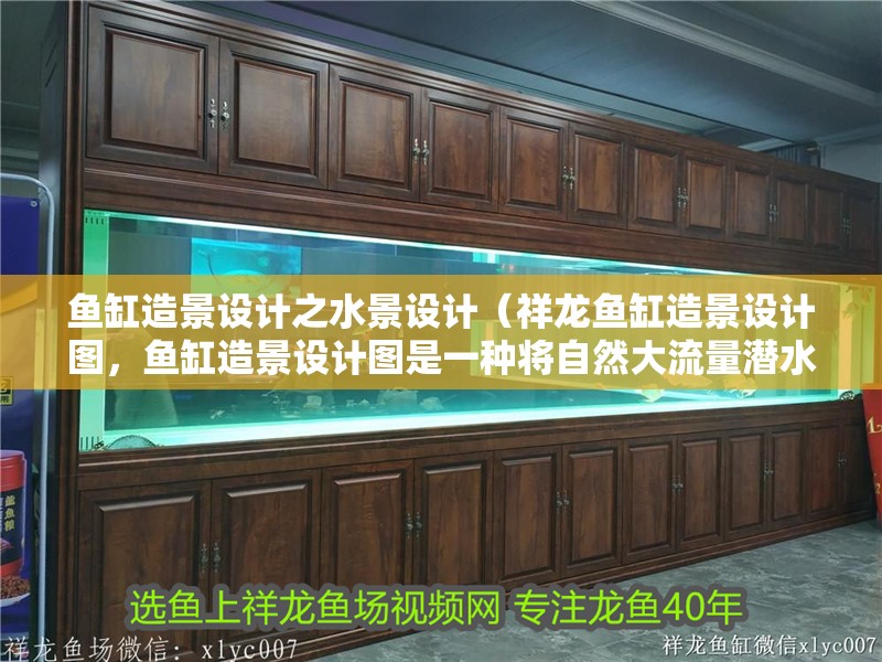 魚缸造景設計之水景設計（祥龍魚缸造景設計圖，魚缸造景設計圖是一種將自然大流量潛水景觀）