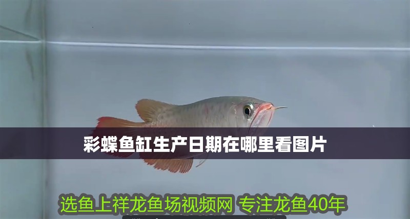 彩蝶魚缸生產日期在哪里看圖片
