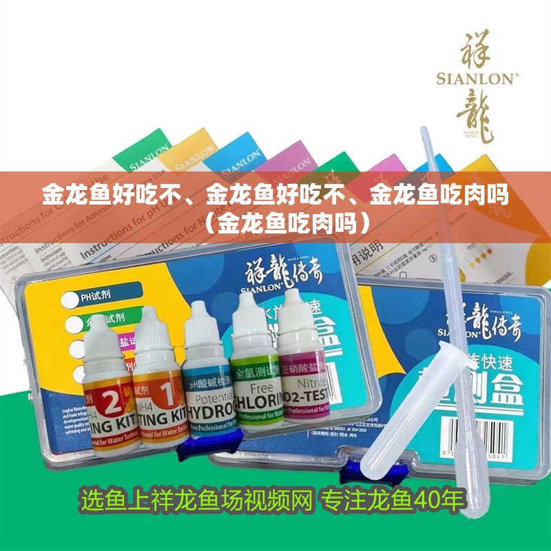 金龍魚好吃不、金龍魚好吃不、金龍魚吃肉嗎（金龍魚吃肉嗎）