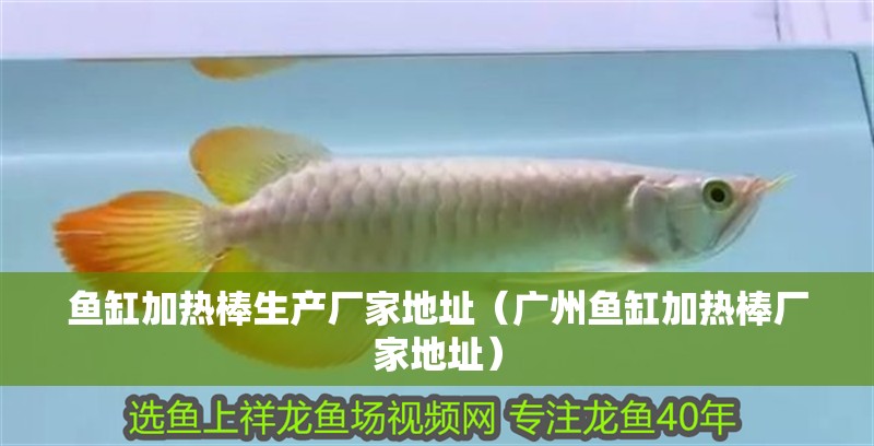 魚缸加熱棒生產(chǎn)廠家地址（廣州魚缸加熱棒廠家地址）