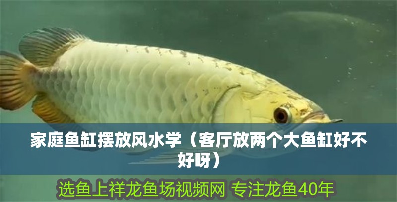 家庭魚缸擺放風(fēng)水學(xué)（客廳放兩個(gè)大魚缸好不好呀）