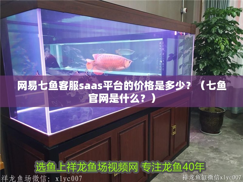 網易七魚客服saas平臺的價格是多少？（七魚官網是什么？）