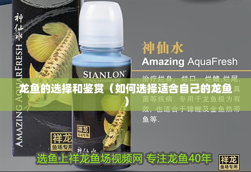 龍魚(yú)的選擇和鑒賞（如何選擇適合自己的龍魚(yú)）