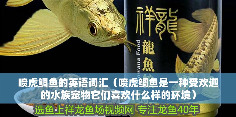 噴虎鯛魚的英語詞匯（噴虎鯛魚是一種受歡迎的水族寵物它們喜歡什么樣的環(huán)境）