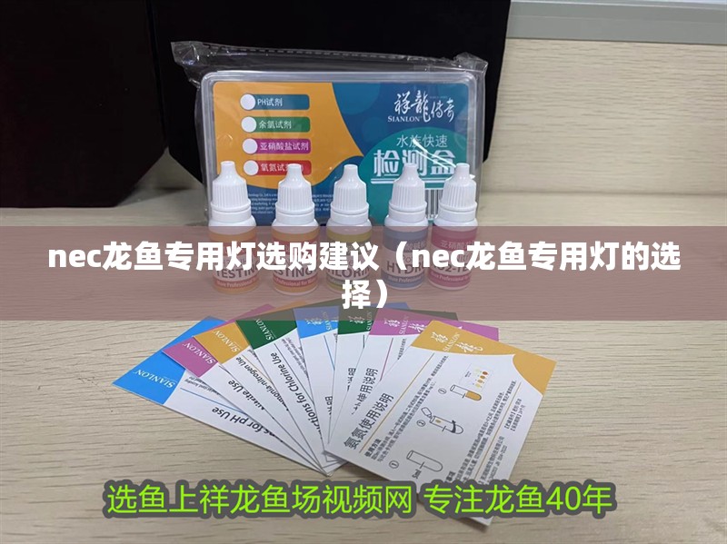 nec龍魚專用燈選購(gòu)建議（nec龍魚專用燈的選擇）
