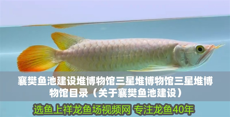襄樊魚池建設堆博物館三星堆博物館三星堆博物館目錄（關于襄樊魚池建設）